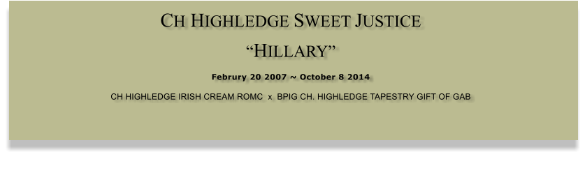 CH HIGHLEDGE SWEET JUSTICE  HILLARY  Februry 20 2007 ~ October 8 2014 CH HIGHLEDGE IRISH CREAM ROMC  x  BPIG CH. HIGHLEDGE TAPESTRY GIFT OF GAB