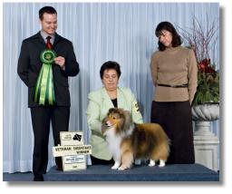 Maddison is pictured winning Best Veteran in Sweeps  at the CSSA Regional Specialty.  Judge Norm LeNeve. Maddison was nine years old.
