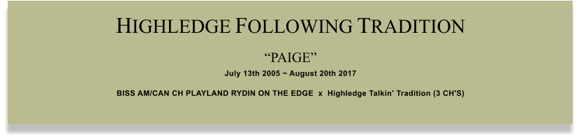 HIGHLEDGE FOLLOWING TRADITION  PAIGE  July 13th 2005 ~ August 20th 2017 BISS AM/CAN CH PLAYLAND RYDIN ON THE EDGE  x  Highledge Talkin' Tradition (3 CH'S)