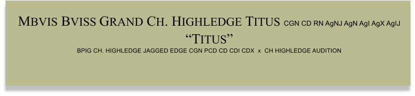 MBVIS BVISS GRAND CH. HIGHLEDGE TITUS CGN CD RN AgNJ AgN AgI AgX AgIJ TITUS BPIG CH. HIGHLEDGE JAGGED EDGE CGN PCD CD CDI CDX  x  CH HIGHLEDGE AUDITION