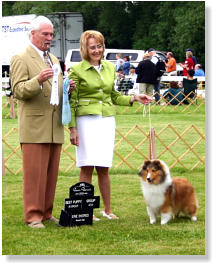 Gabby's BEST OF BREED AND GROUP 4TH