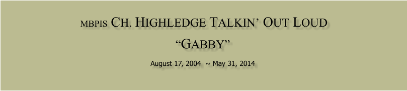 MBPIS  CH. HIGHLEDGE TALKIN OUT LOUD   GABBY  August 17, 2004  ~ May 31, 2014