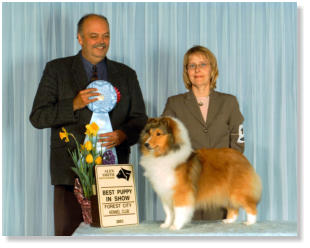 Gabby's First Best Puppy In Show  (Our sincere thanks to judge Al Bennett)