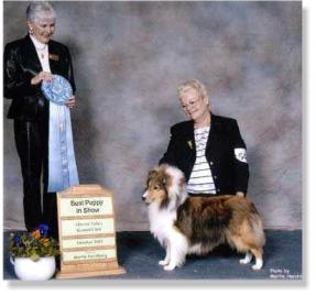 Lexi is pictured at 8 months old, winning BEST PUPPY IN SHOW!